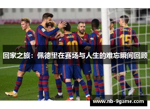 回家之旅:佩德里在赛场与人生的难忘瞬间回顾 回家之旅:佩德里在赛场与人生的难忘瞬间回顾