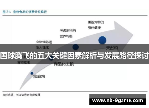 国球腾飞的五大关键因素解析与发展路径探讨 国球腾飞的五大关键因素解析与发展路径探讨