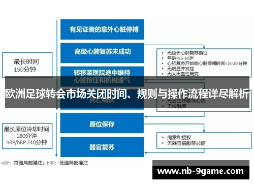 欧洲足球转会市场关闭时间、规则与操作流程详尽解析 欧洲足球转会市场关闭时间、规则与操作流程详尽解析