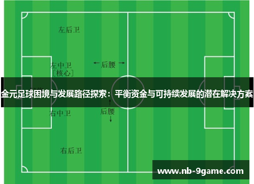 金元足球困境与发展路径探索：平衡资金与可持续发展的潜在解决方案