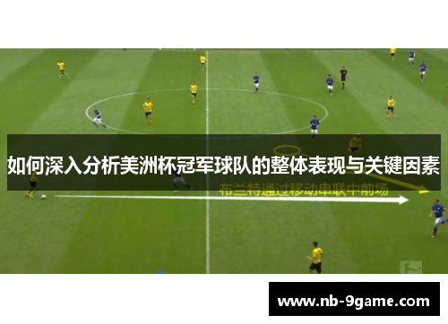 如何深入分析美洲杯冠军球队的整体表现与关键因素
