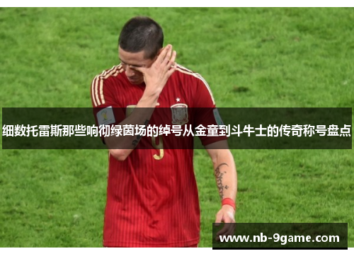 细数托雷斯那些响彻绿茵场的绰号从金童到斗牛士的传奇称号盘点